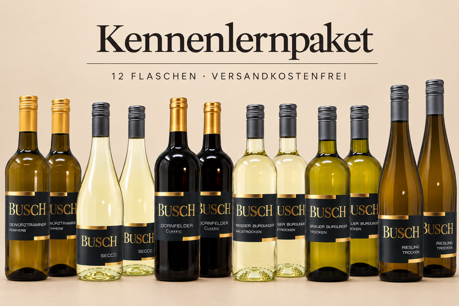 Busch Kennenlernpaket